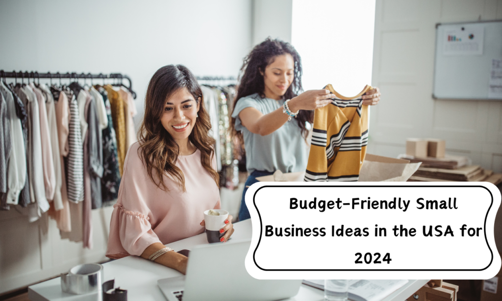 Budget-Friendly Small Business Ideas in the USA for 2024