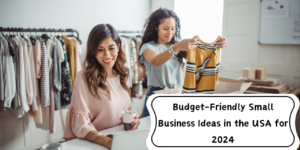 Budget-Friendly Small Business Ideas in the USA for 2024