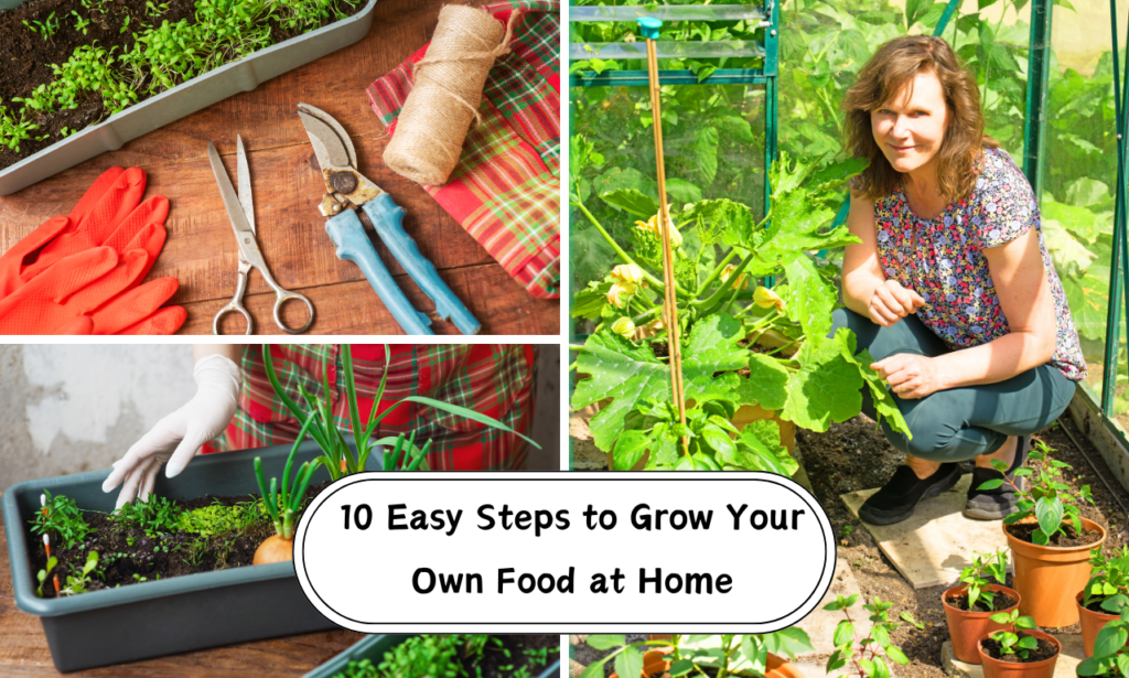 10 Easy Steps to Grow Your Own Food at Home